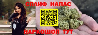 прущие грибы Будённовск
