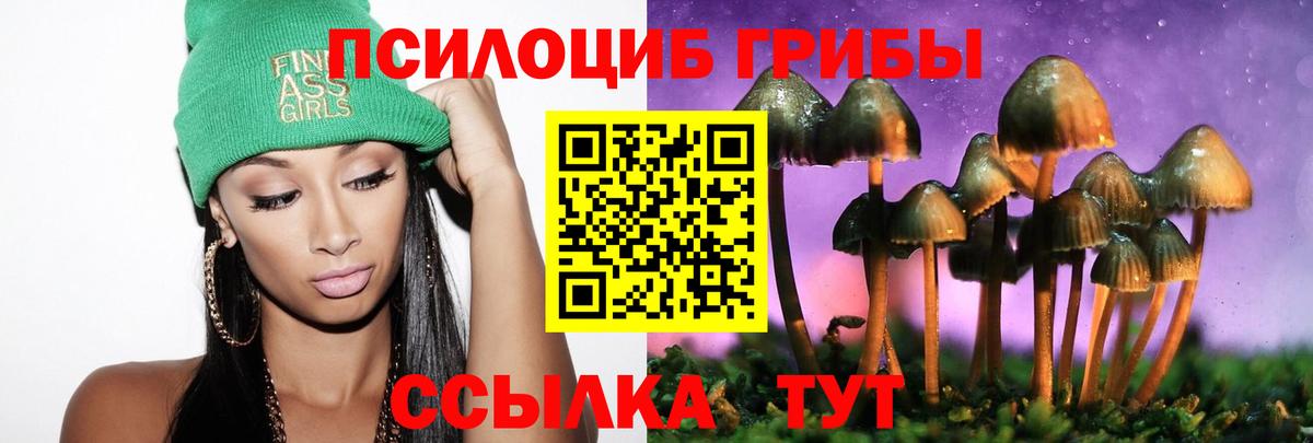 Псилоцибиновые грибы Cubensis  Галлюциногенные грибы MAGIC MUSHROOMS  Вход с VPN  Щёкино 